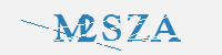 보안문자